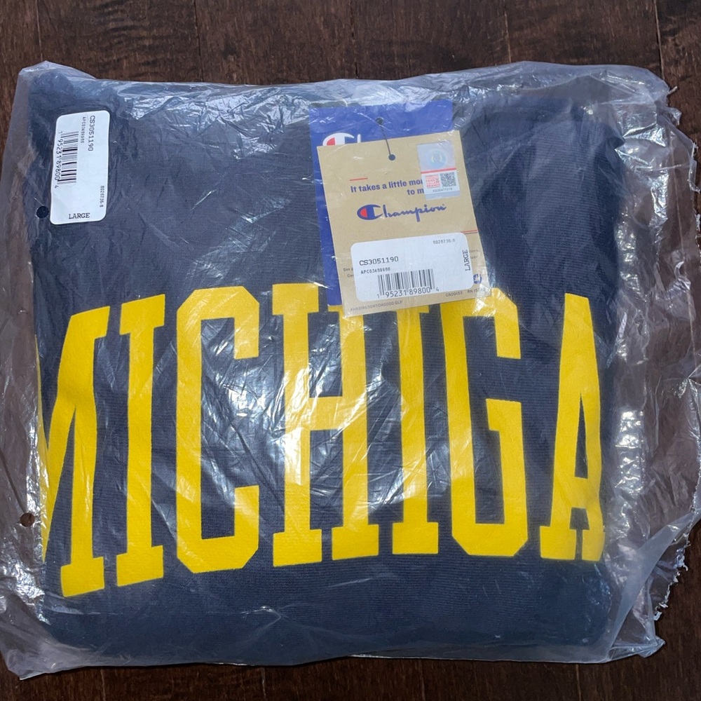 Large Michigan Hoodie